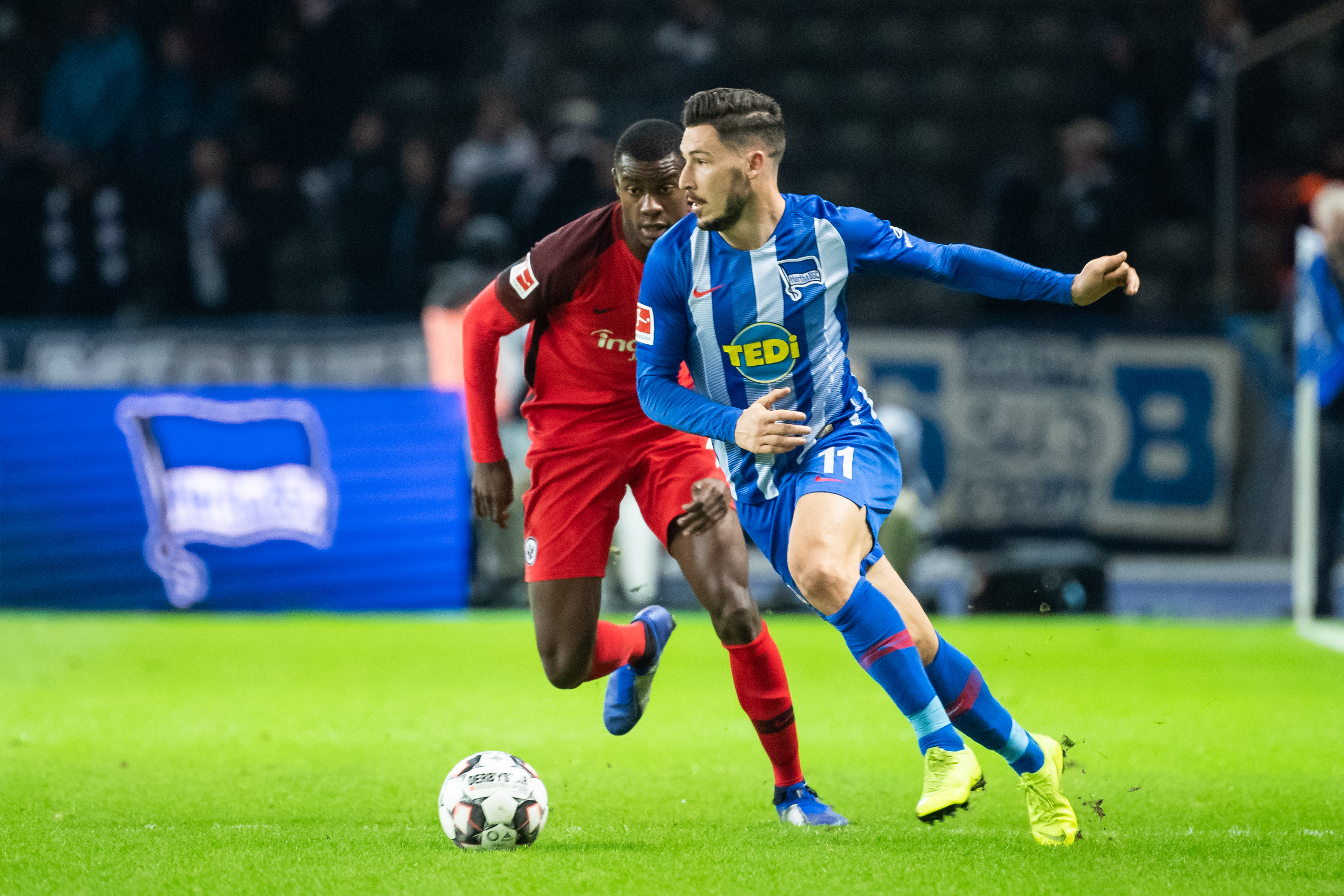 共享和专业 共享和专业