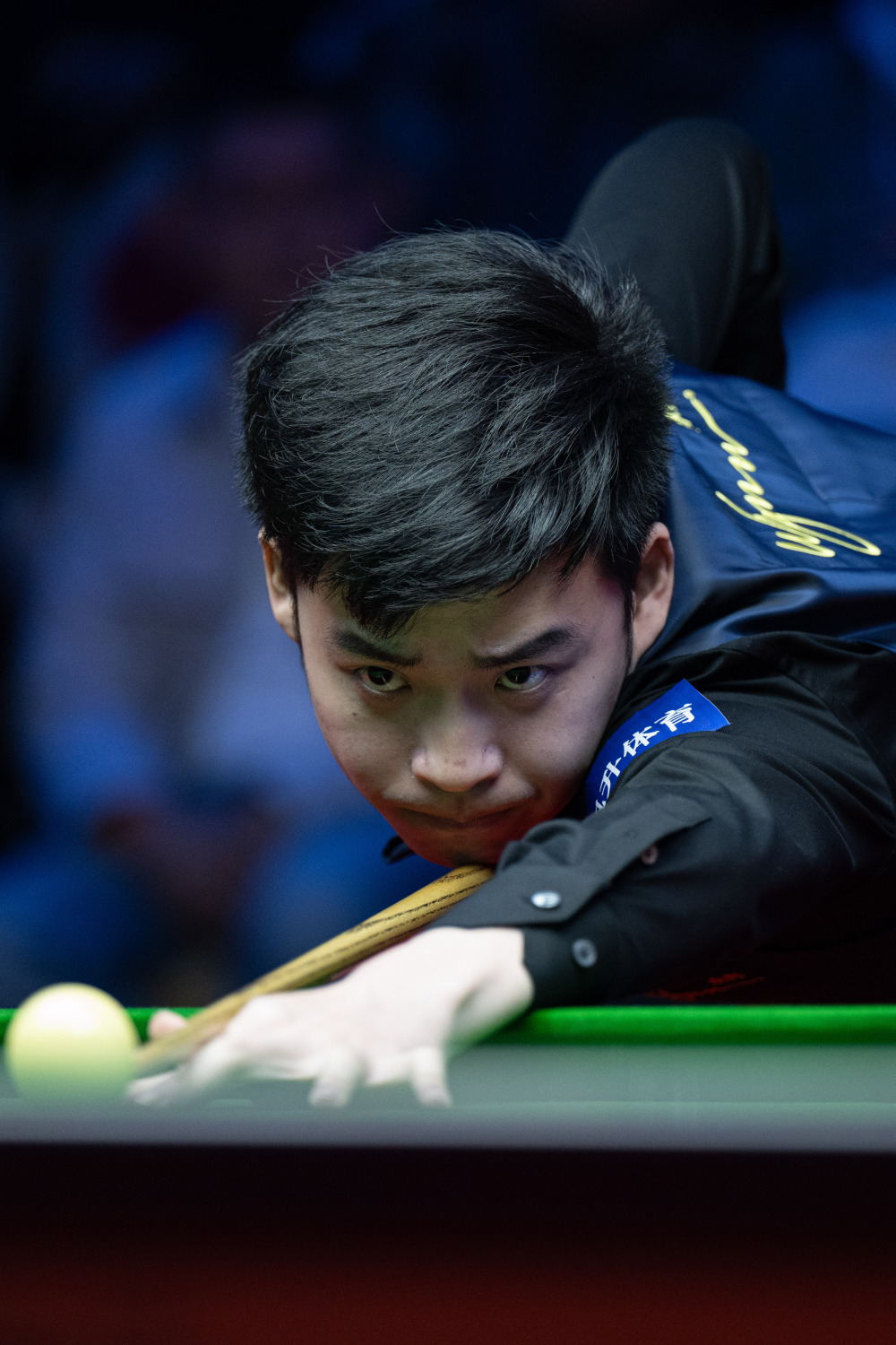 泛影响力的 泛影响力的