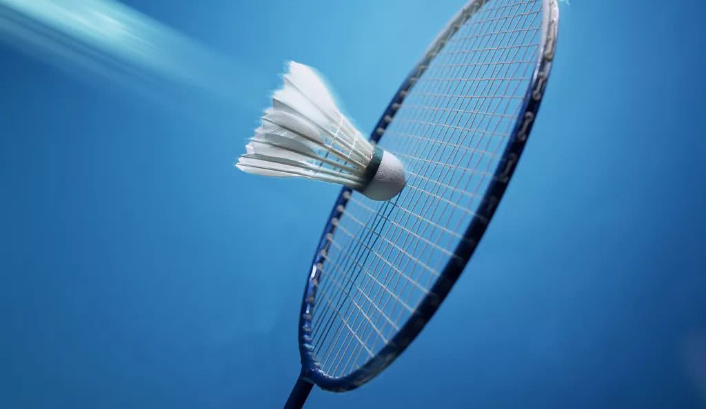 了热烈的掌 了热烈的掌