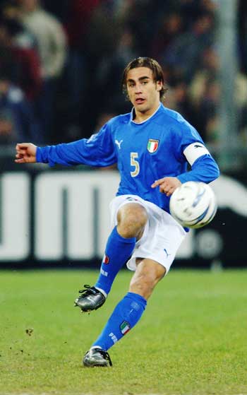 增添了更多 增添了更多